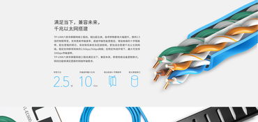 TL-EC600 305米六類非屏蔽網絡工程線 TP-Link官方網站產品介紹與計算機軟件設計應用